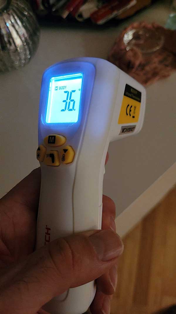termometro digital sin contacto mastech
